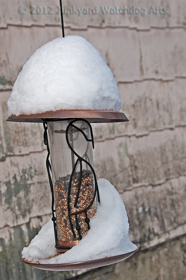 A Bird Feeder in Winter